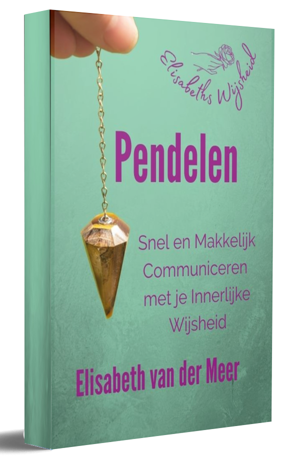 1653813341 3d cover pendelen variatie 1